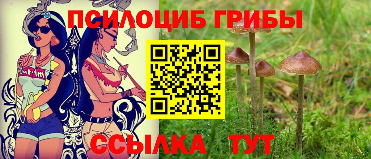 Псилоцибиновые грибы мицелий  Галлюциногенные грибы Cubensis  Вход с VPN  Борисоглебск 