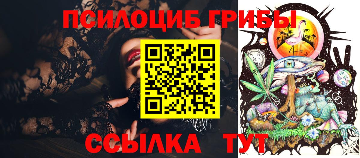Псилоцибиновые грибы Psilocybe Борисоглебск